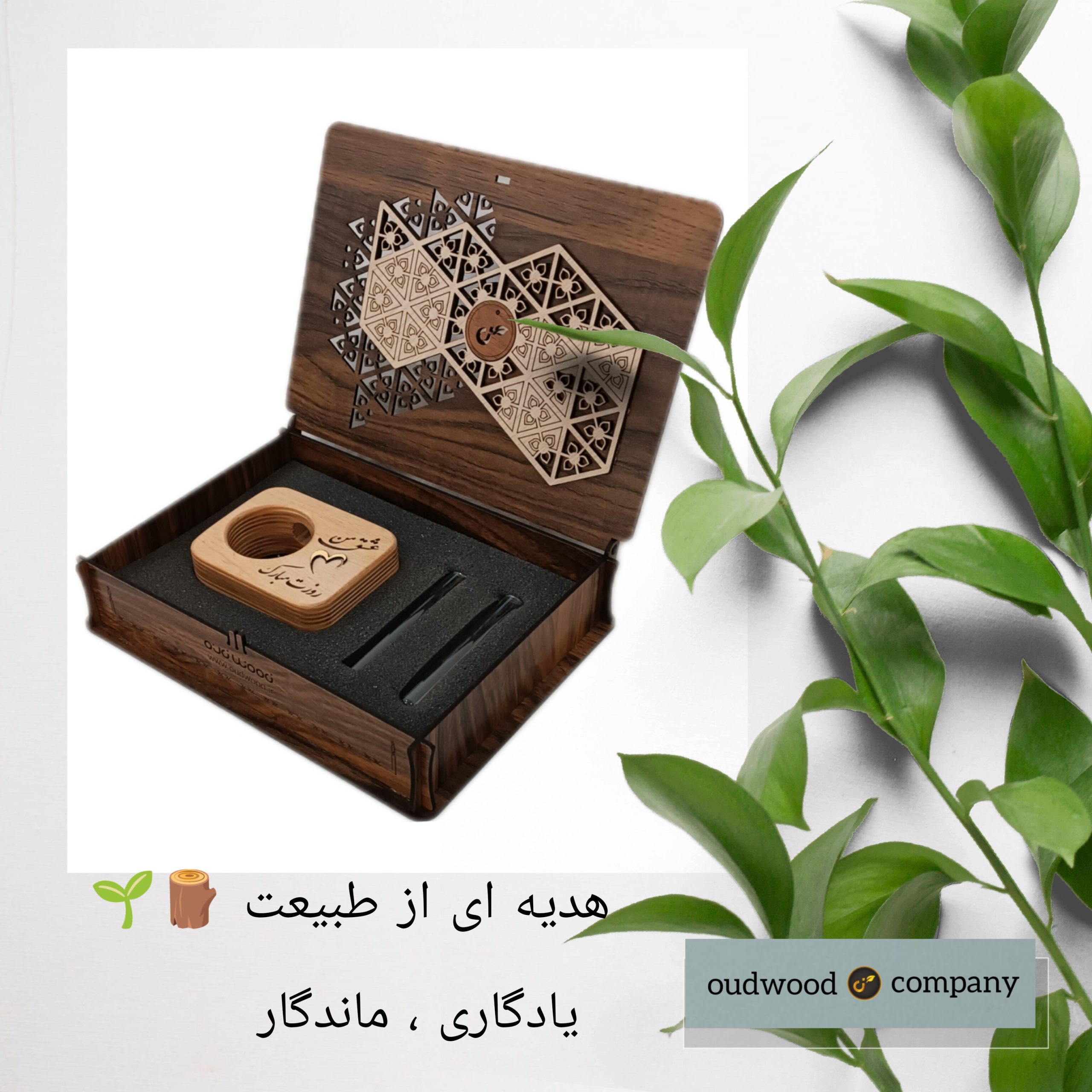 گلدان دکور